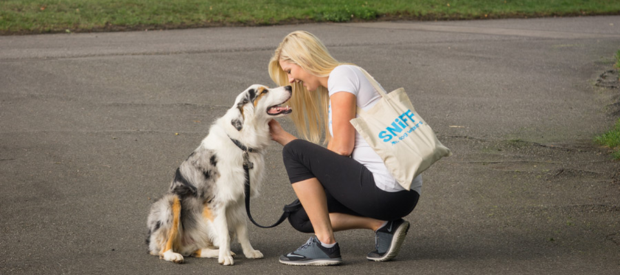 Dog Walker Jobs With SNIFF OC