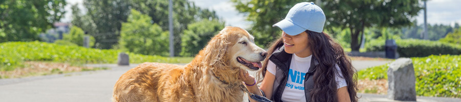 Dog Walking App From SNIFF Orange County